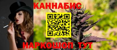 гашик Будённовск