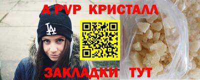 гашик Будённовск