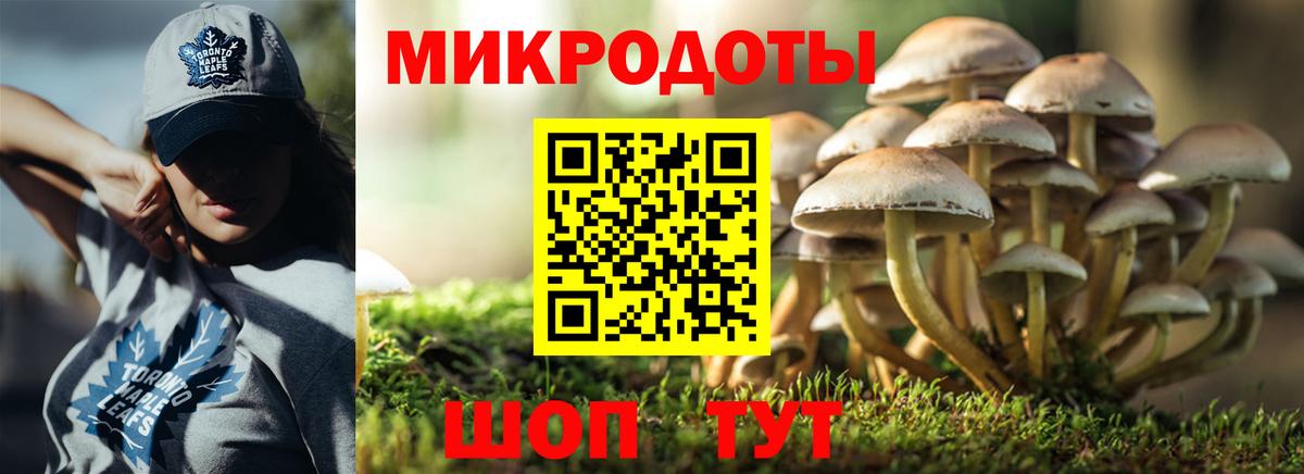 Черногорск  Псилоцибиновые грибы ЛСД  Псилоцибиновые грибы GOLDEN TEACHER  Вход с VPN 