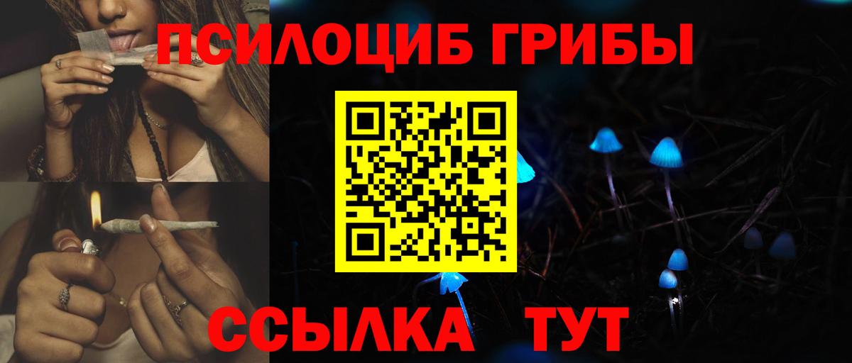 Псилоцибиновые грибы прущие грибы Черногорск